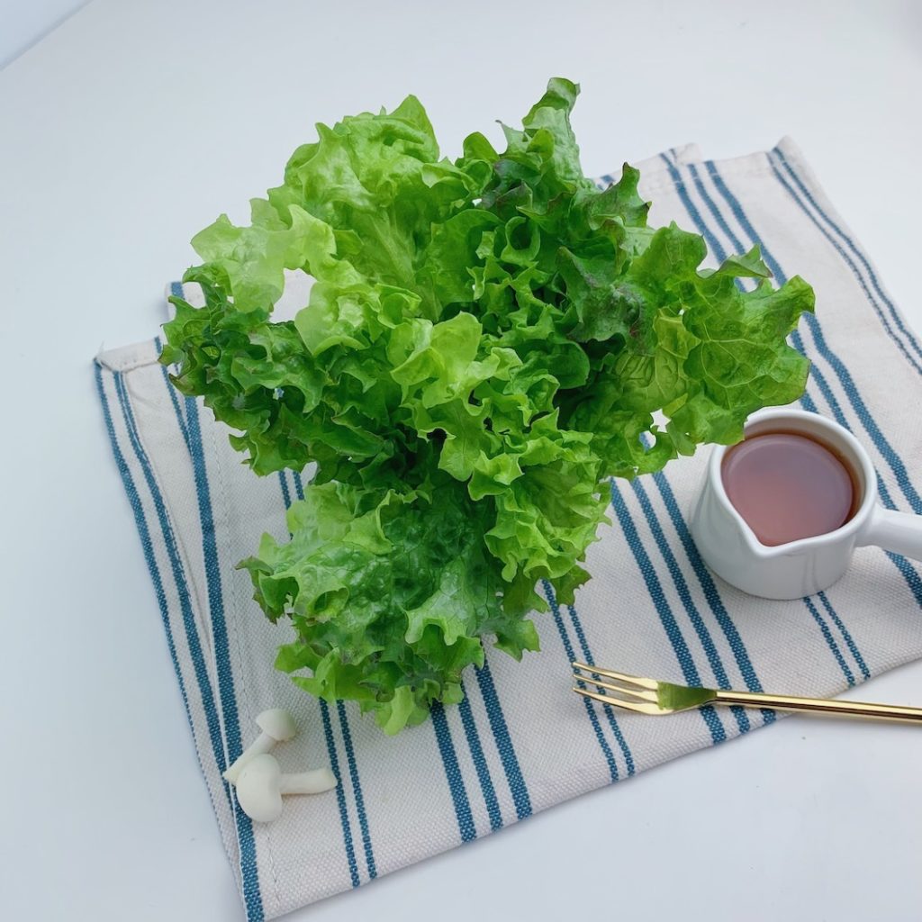 紅珊瑚皺葉萵苣